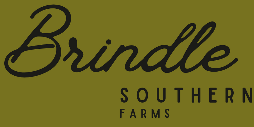 BrindleSouthern