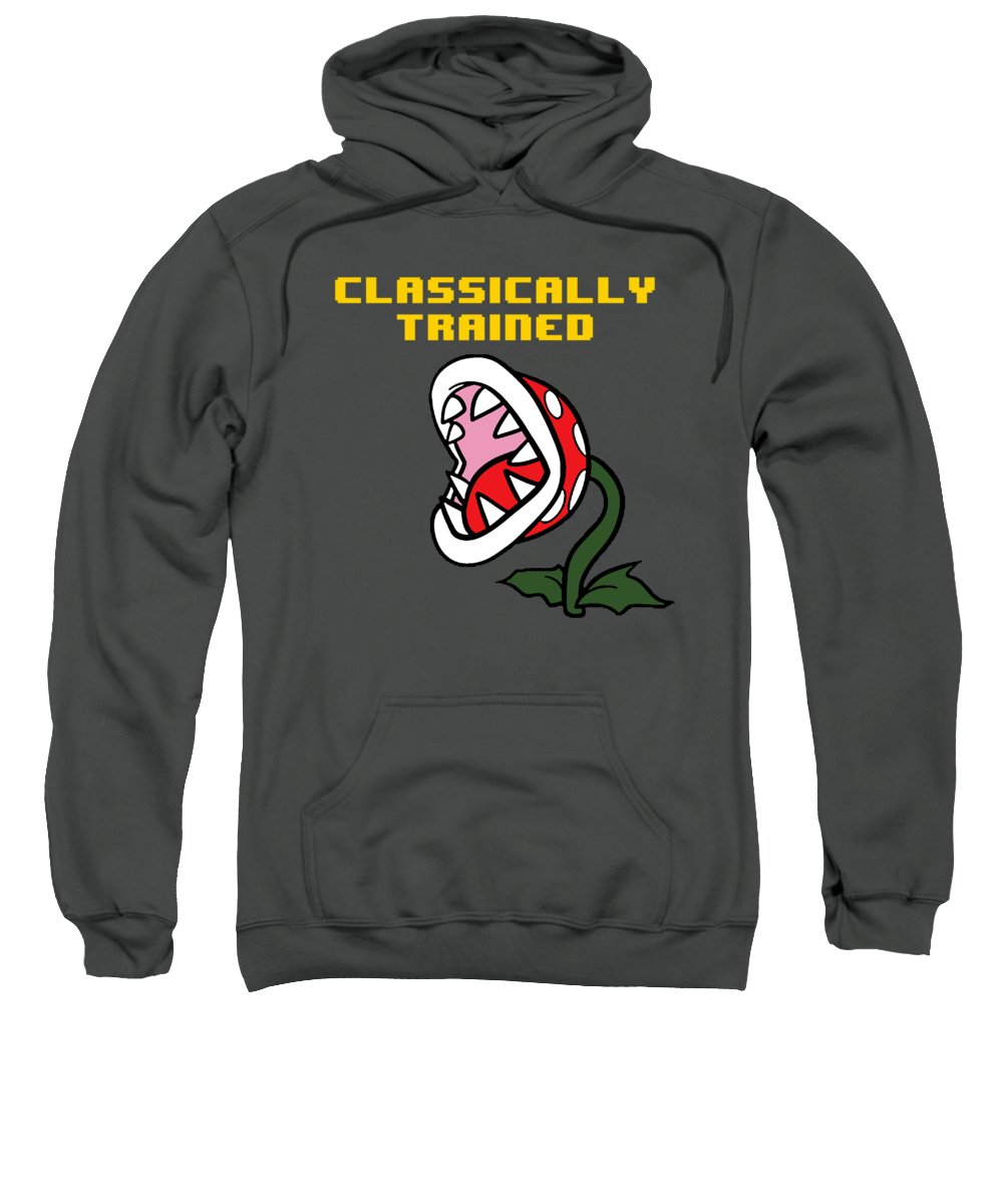 Classically Trained, Classic 8 Bit Entertainment System Characters. Babies From The 80's. - Sweatshirt