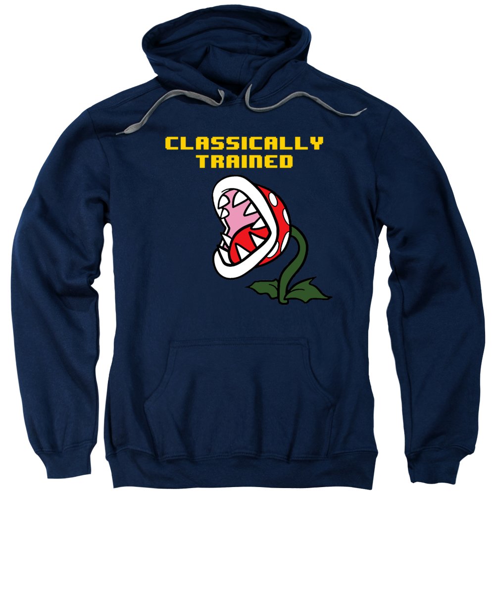 Classically Trained, Classic 8 Bit Entertainment System Characters. Babies From The 80's. - Sweatshirt