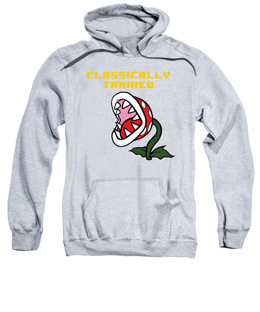 Classically Trained, Classic 8 Bit Entertainment System Characters. Babies From The 80's. - Sweatshirt