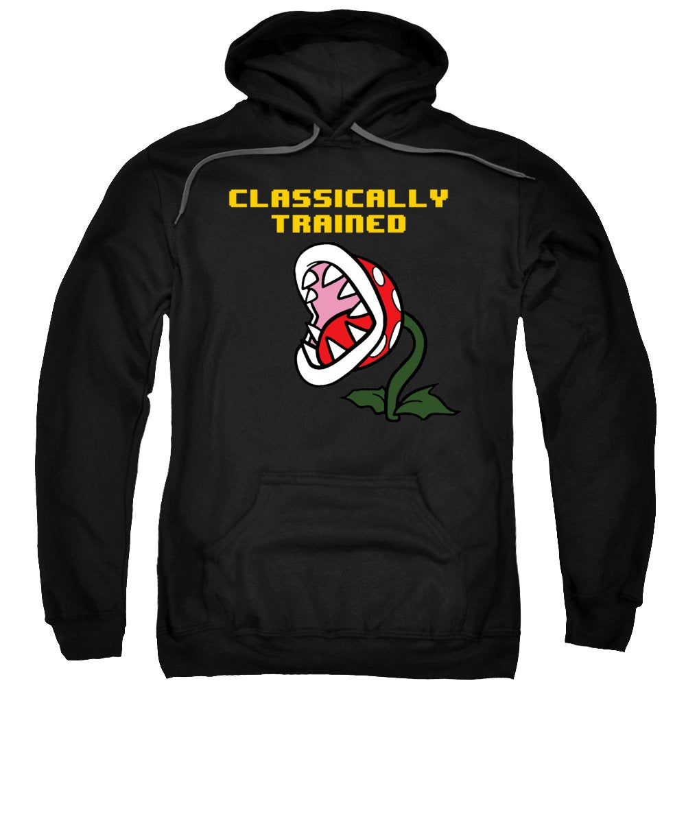 Classically Trained, Classic 8 Bit Entertainment System Characters. Babies From The 80's. - Sweatshirt