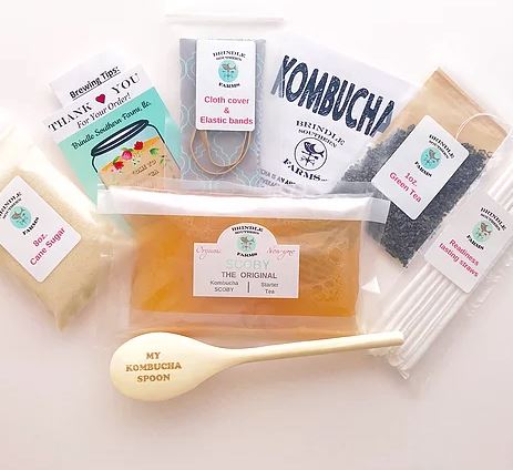 Kombucha SCOBY's