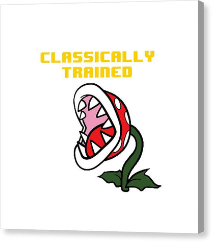 Classically Trained, Classic 8 Bit Entertainment System Characters. Babies From The 80's.  - Canvas Print