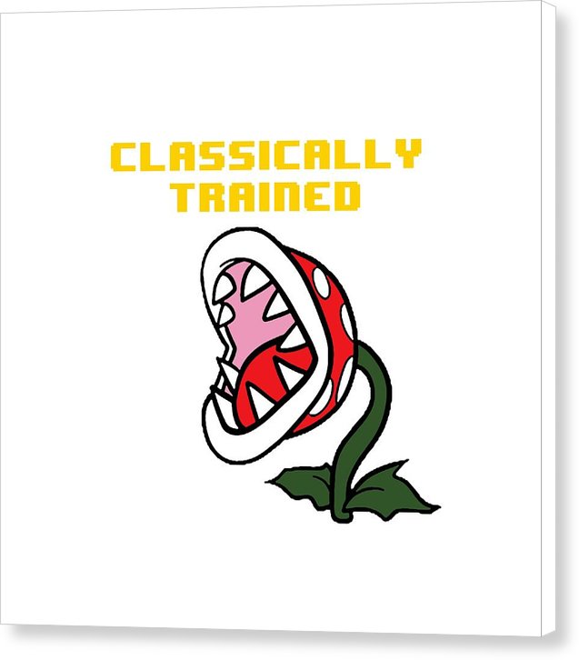 Classically Trained, Classic 8 Bit Entertainment System Characters. Babies From The 80's.  - Canvas Print