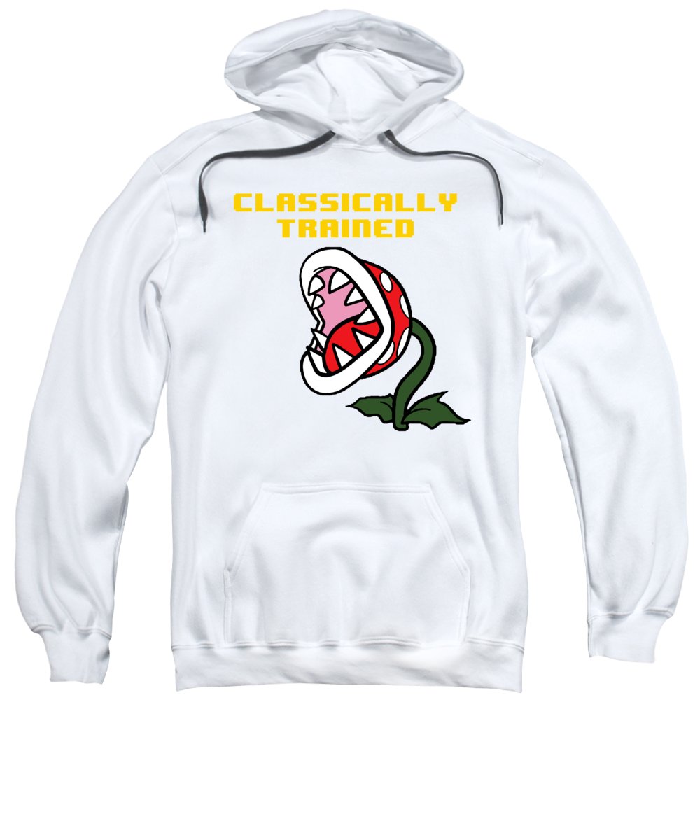 Classically Trained, Classic 8 Bit Entertainment System Characters. Babies From The 80's.  - Sweatshirt