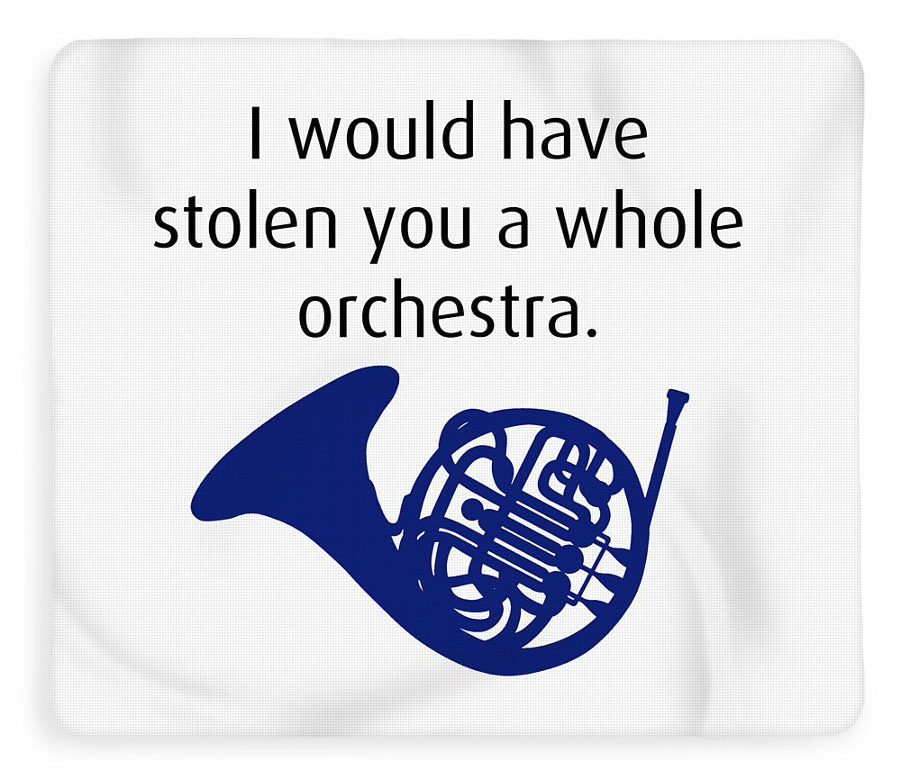 I Would Have Stolen You A Whole Orchestra.  How I Met Your Mother, Himym. - Blanket