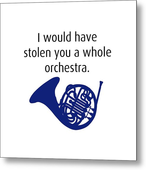 I Would Have Stolen You A Whole Orchestra.  How I Met Your Mother, Himym. - Metal Print